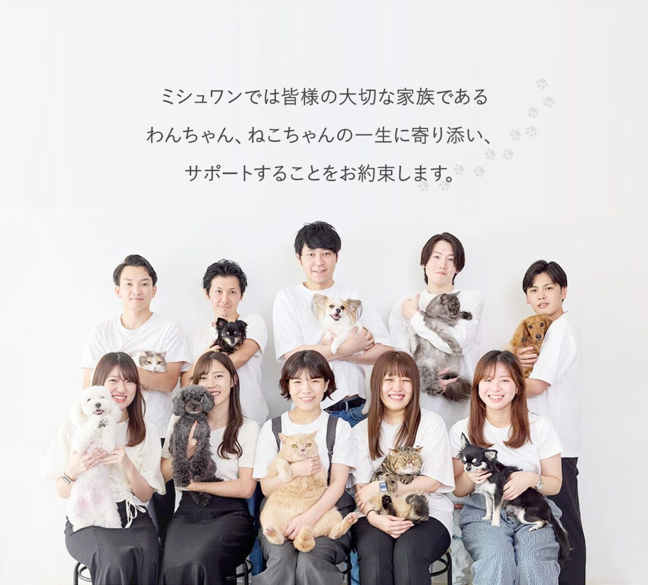 ミシュワンサポート