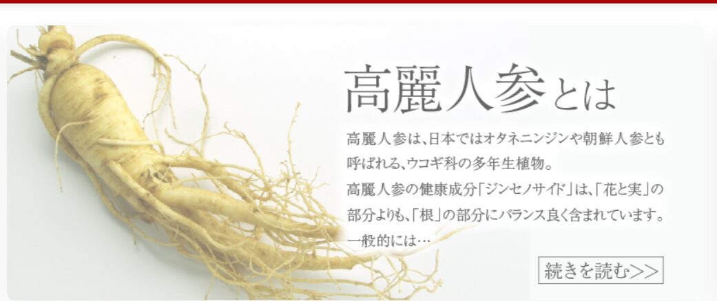 高麗人参とは