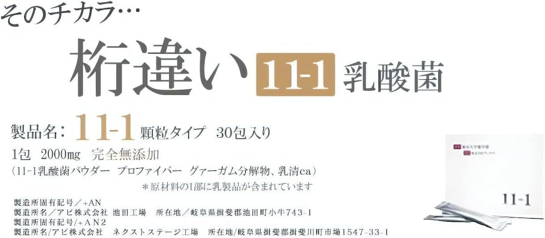 11-1乳酸菌-画像