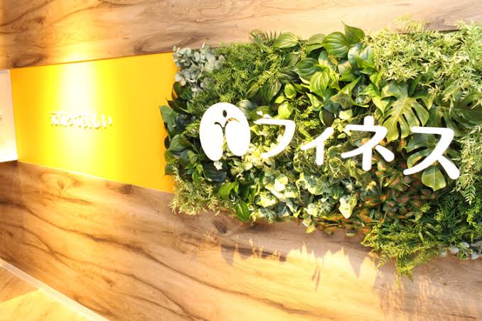 株式会社フィネス会社概要