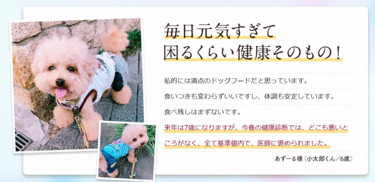モグワンの口コミ